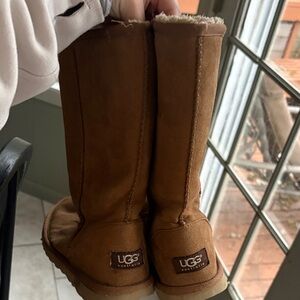 UGG Chestnut Sheepskin Boots